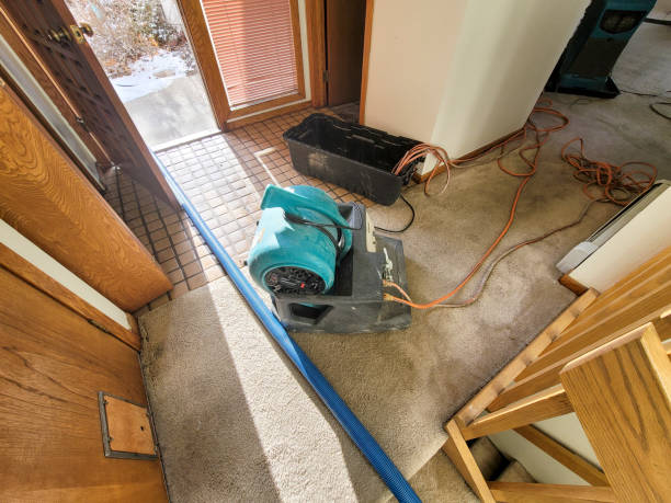 Best Carpet water damage restoration  in Norton Center, MA