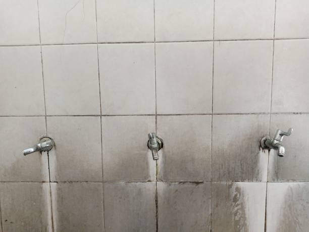 Best Water damage restoration near me  in Norton Center, MA