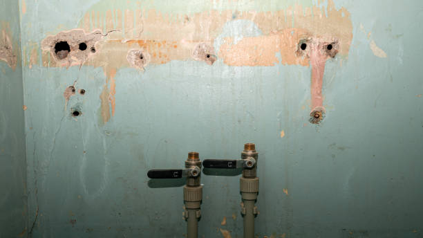 Best Mold removal after water damage  in Norton Center, MA